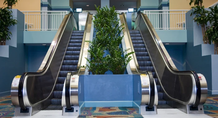 Escalators Outperform